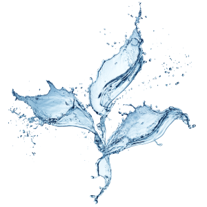 Water Based Stains